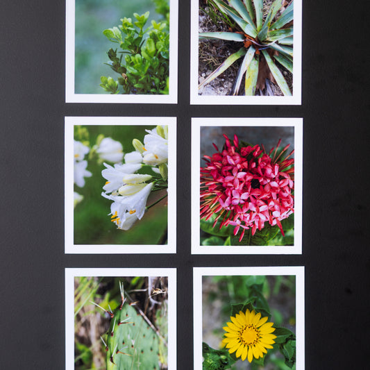 3.25" x 4" Custom Flexible Magnets (Set of 12)