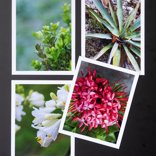4" x 5" Custom Flexible Magnets (Set of 12)
