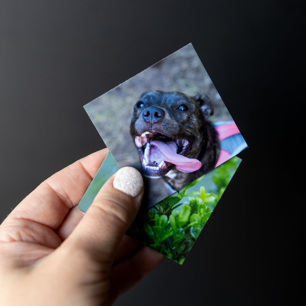 Custom Photo Magnets