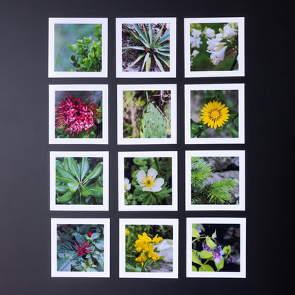 2.5" x 2.5" Custom Flexible Magnets (Set of 12)