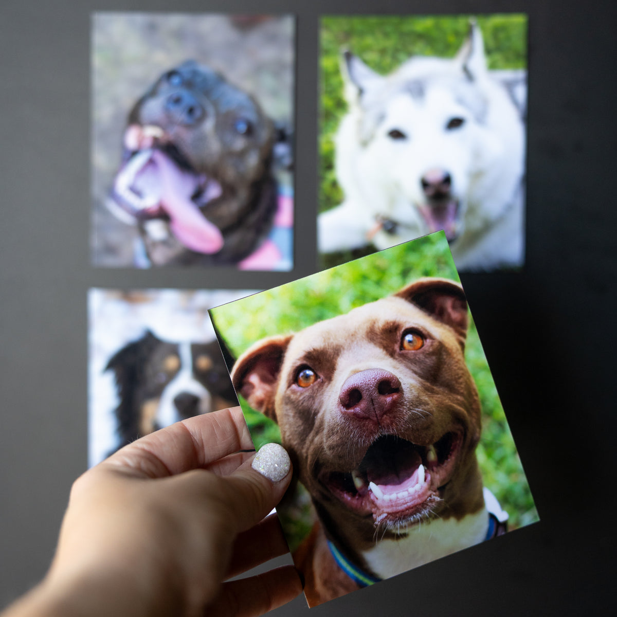 4" x 5" Custom Flexible Magnets (Set of 12)