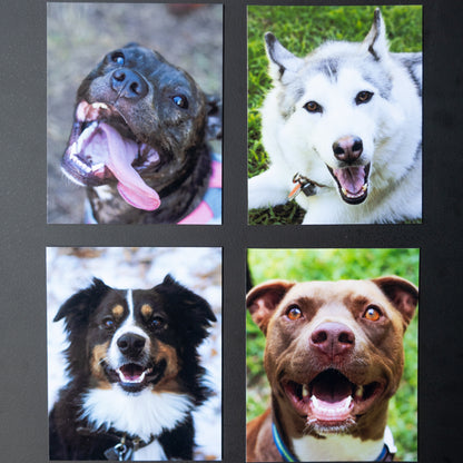 4" x 5" Custom Flexible Magnets (Set of 12)