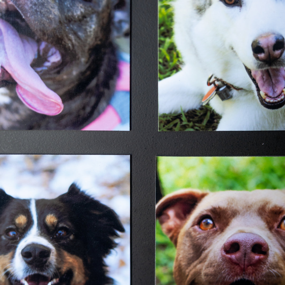 4" x 5" Custom Flexible Magnets (Set of 12)