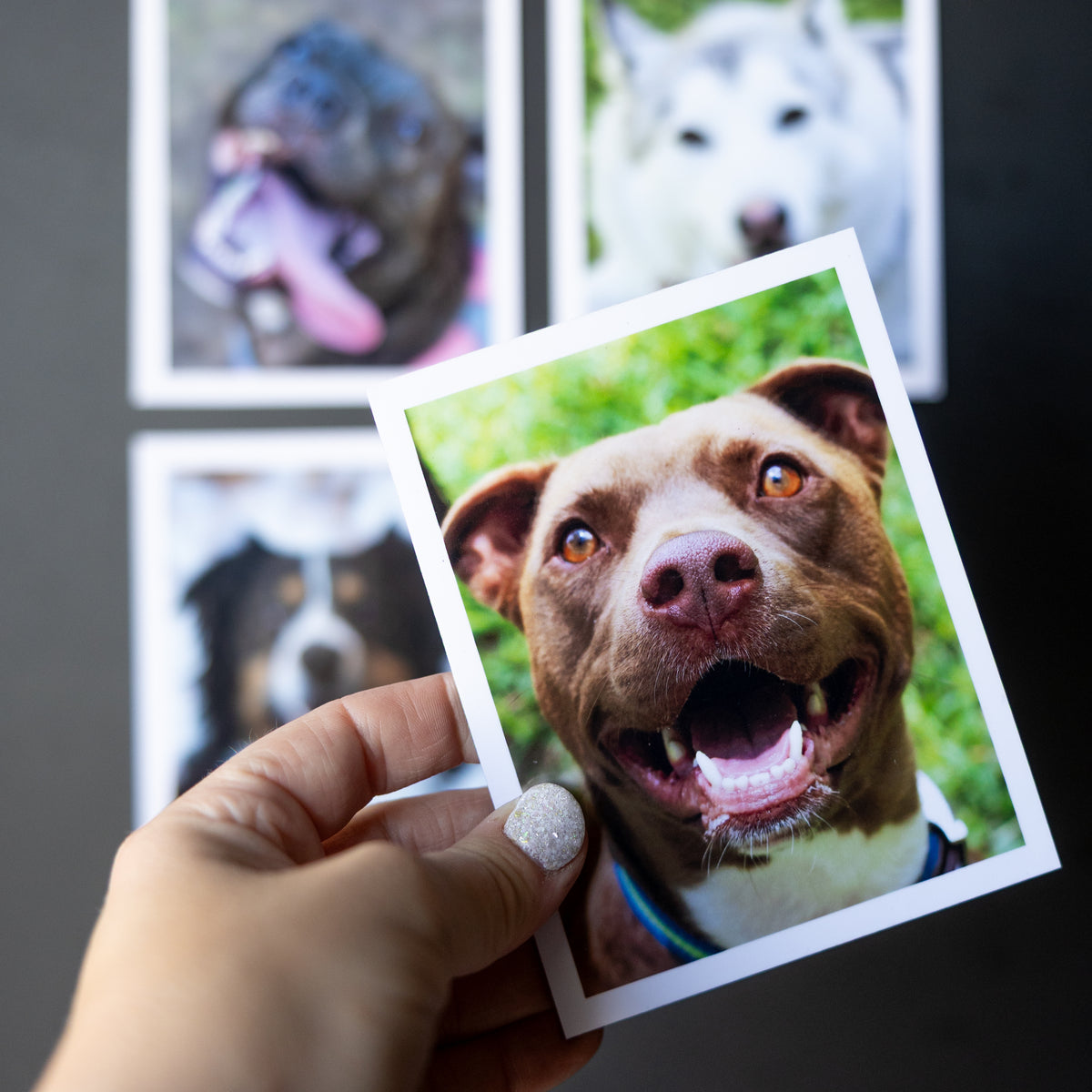 4" x 5" Custom Flexible Magnets (Set of 12)