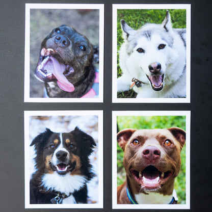 4" x 5" Custom Flexible Magnets (Set of 12)