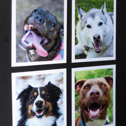 4" x 5" Custom Flexible Magnets (Set of 12)