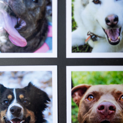 4" x 5" Custom Flexible Magnets (Set of 12)