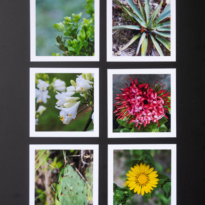 3.25" x 3.25" Custom Flexible Magnets (Set of 12)