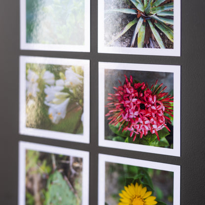 3.25" x 3.25" Custom Flexible Magnets (Set of 12)