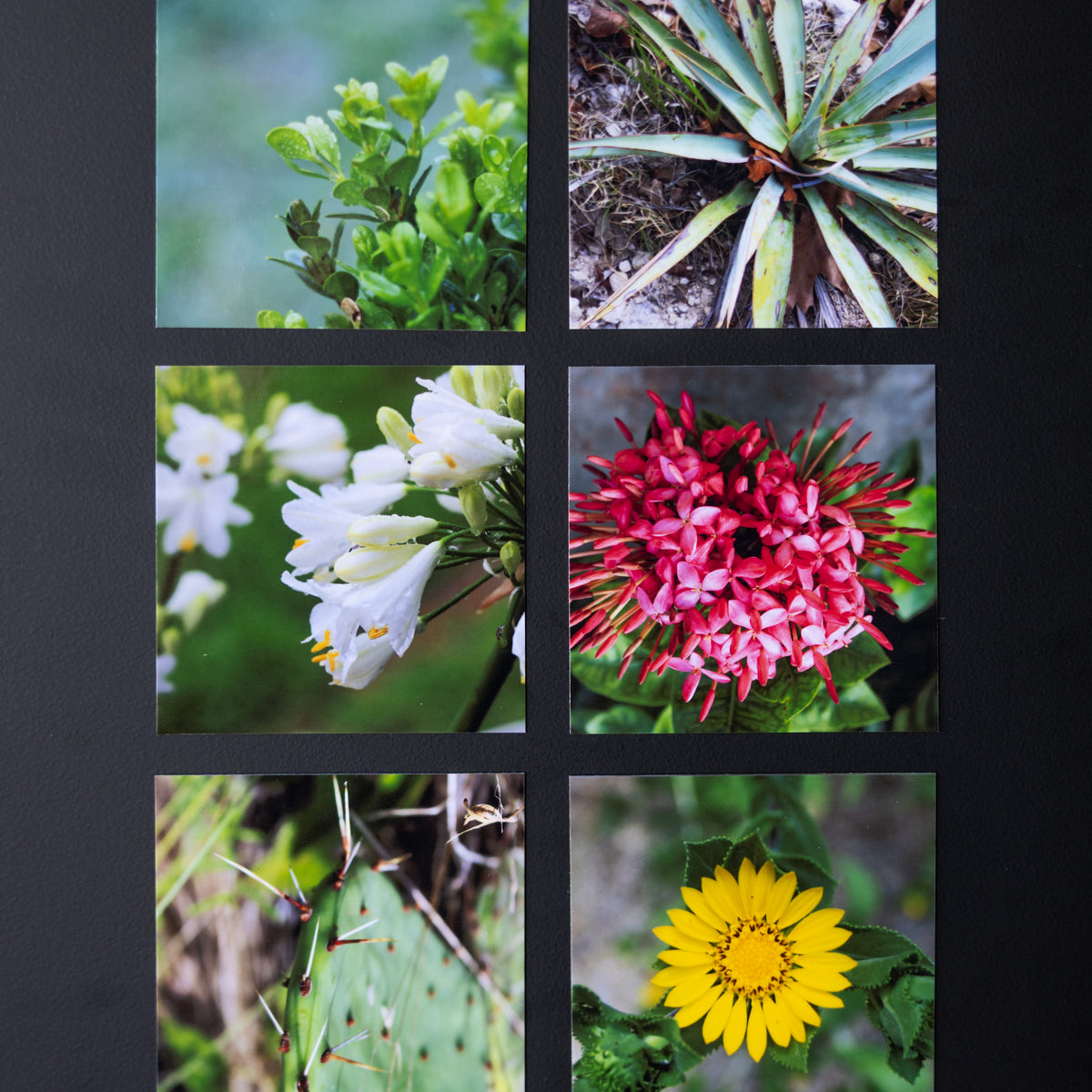 3.25" x 3.25" Custom Flexible Magnets (Set of 12)