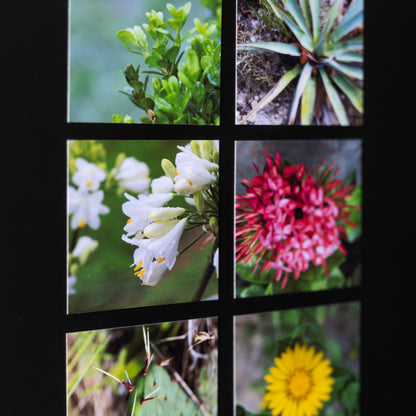 3.25" x 3.25" Custom Flexible Magnets (Set of 12)