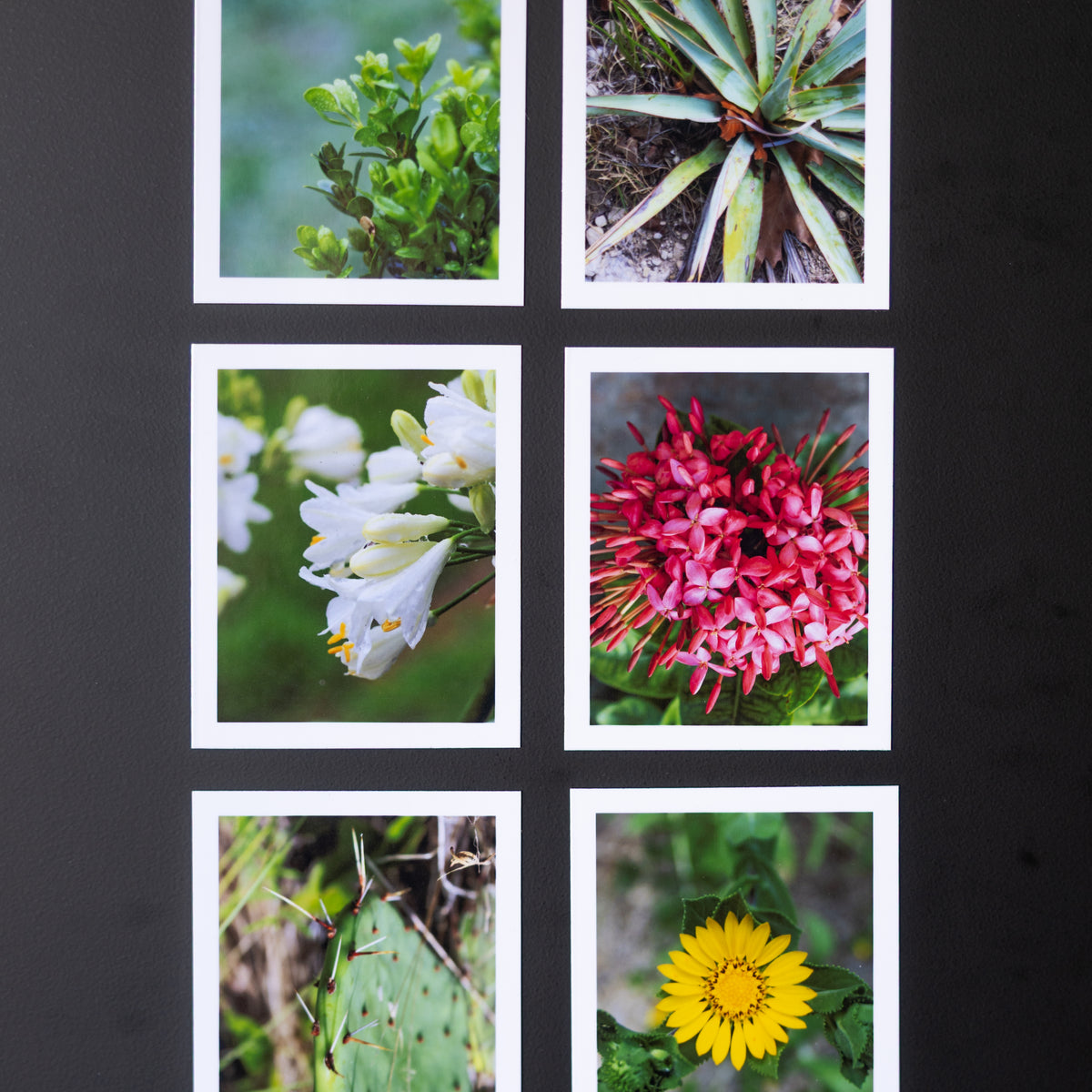 3.25" x 4" Custom Flexible Magnets (Set of 12)