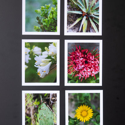 3.25" x 4" Custom Flexible Magnets (Set of 12)