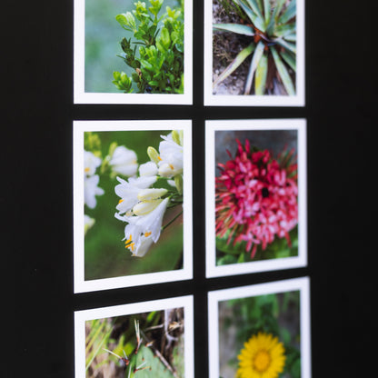 3.25" x 4" Custom Flexible Magnets (Set of 12)