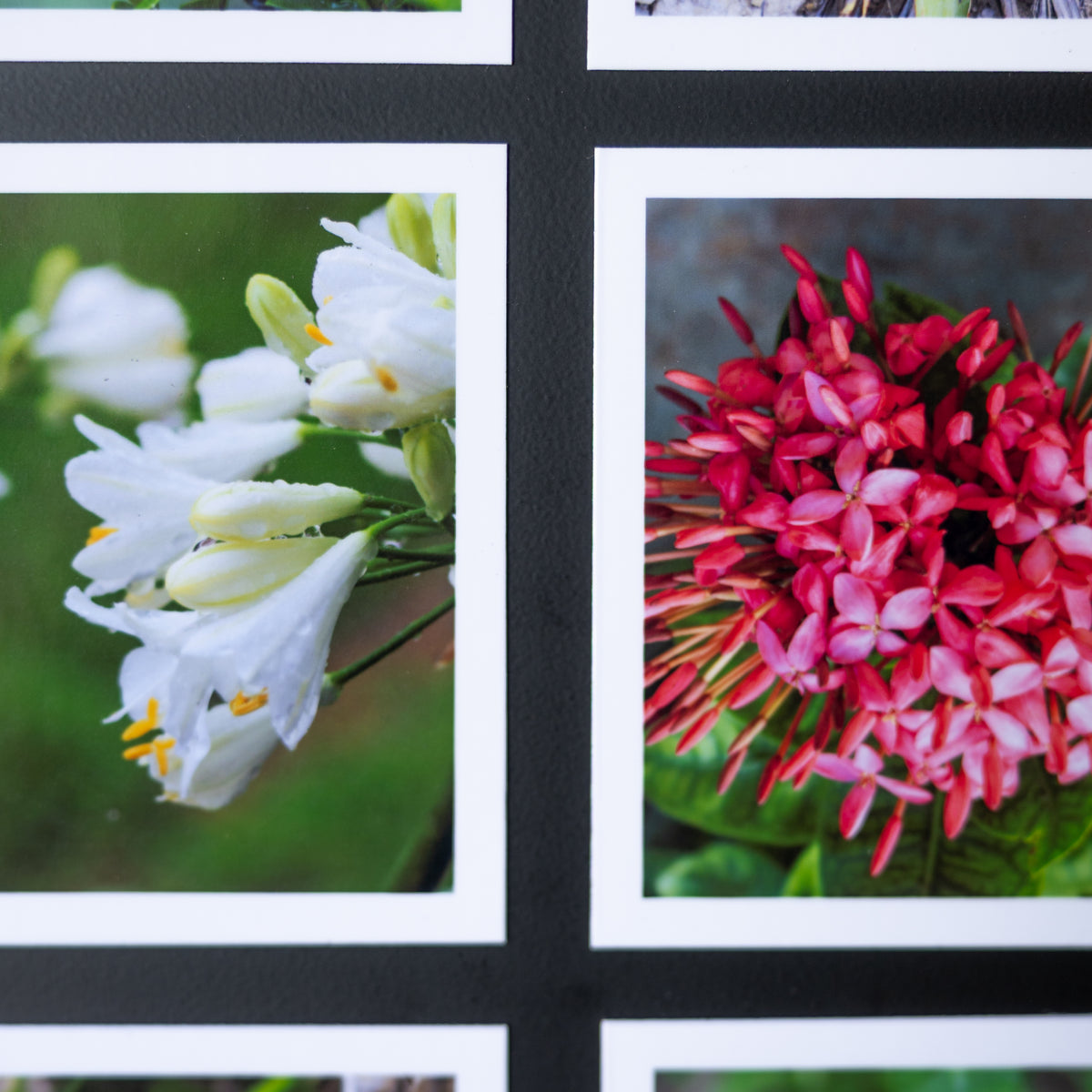 3.25" x 4" Custom Flexible Magnets (Set of 12)