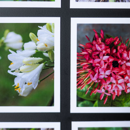 3.25" x 4" Custom Flexible Magnets (Set of 12)