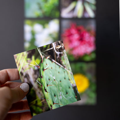 3.25" x 4" Custom Flexible Magnets (Set of 12)