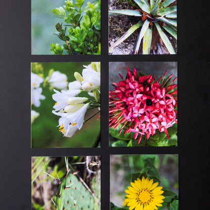3.25" x 4" Custom Flexible Magnets (Set of 12)