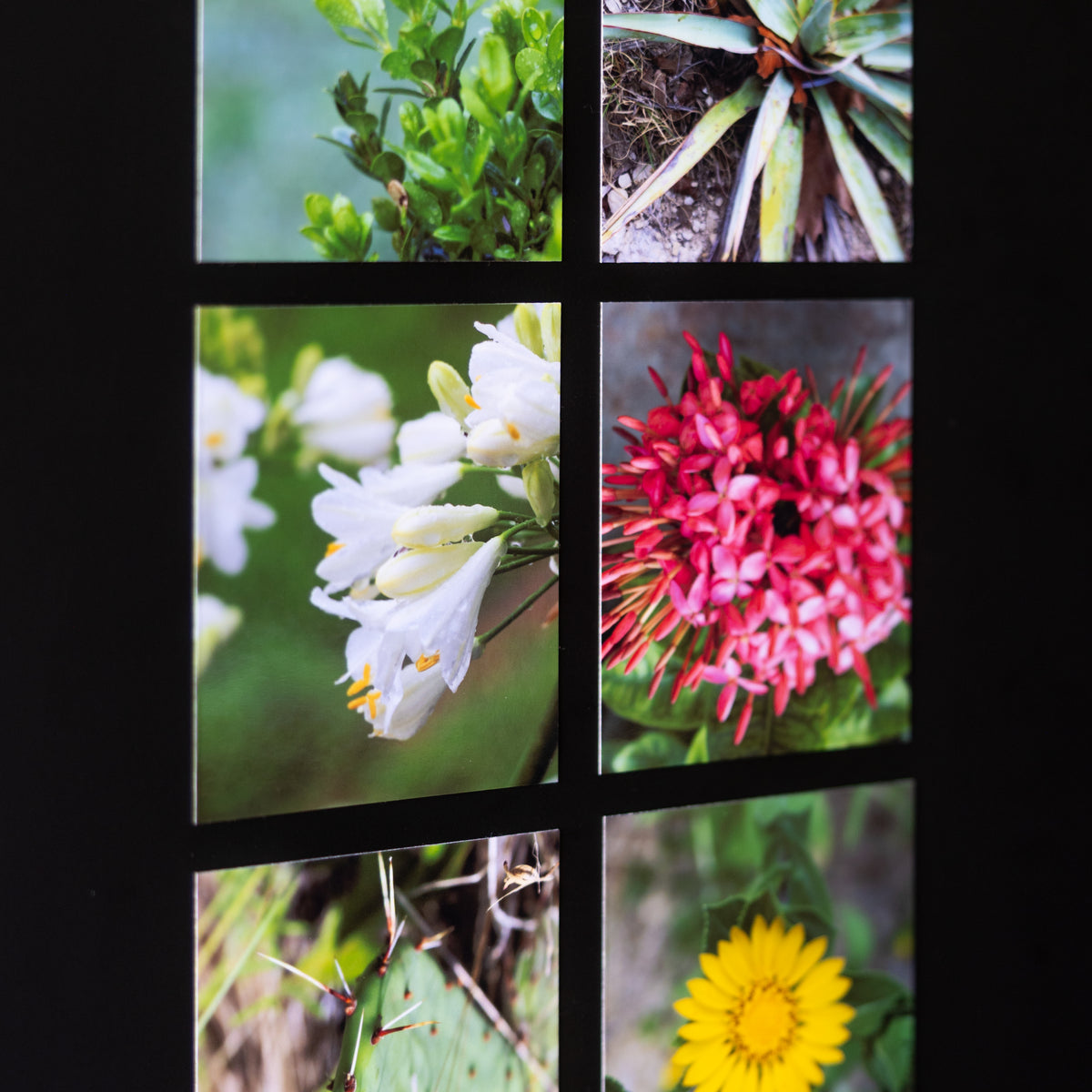 3.25" x 4" Custom Flexible Magnets (Set of 12)