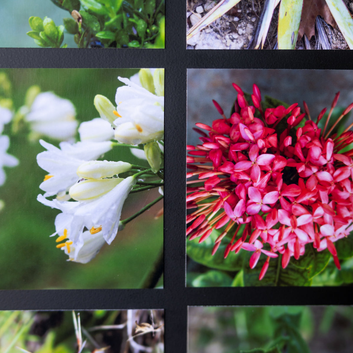 3.25" x 4" Custom Flexible Magnets (Set of 12)