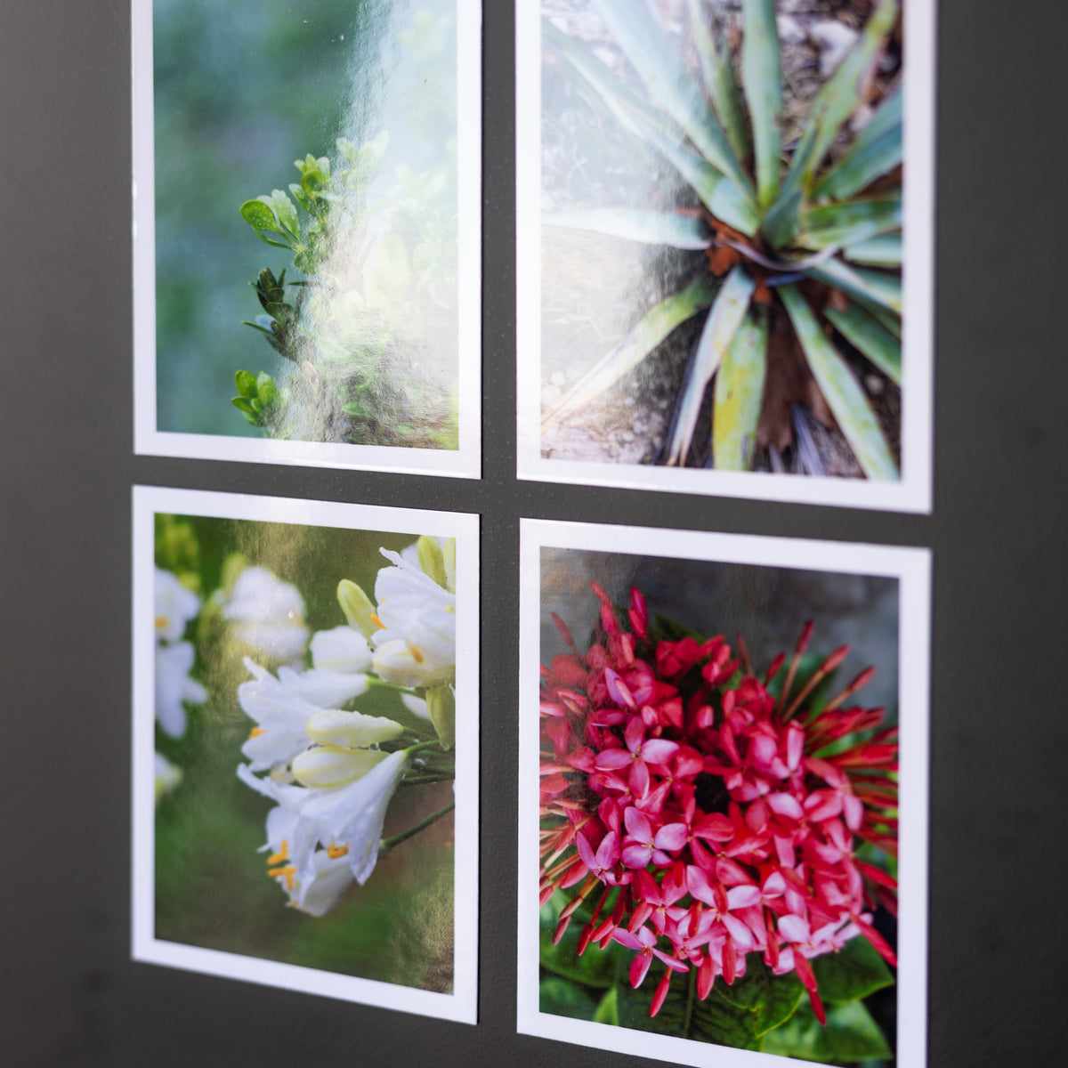 4" x 5" Custom Flexible Magnets (Set of 12)
