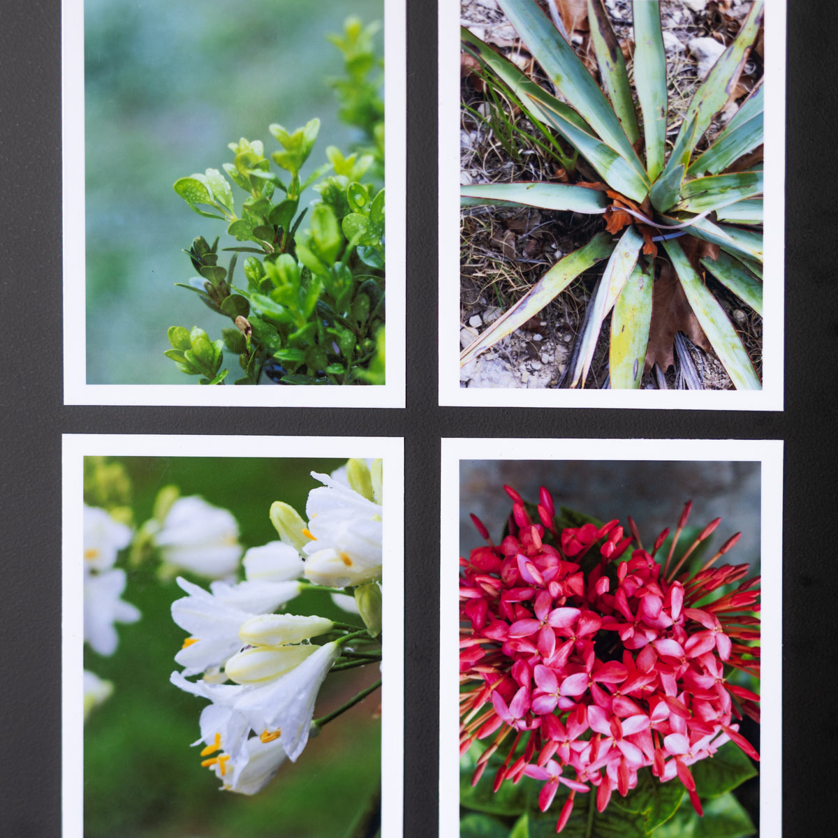 4" x 5" Custom Flexible Magnets (Set of 12)