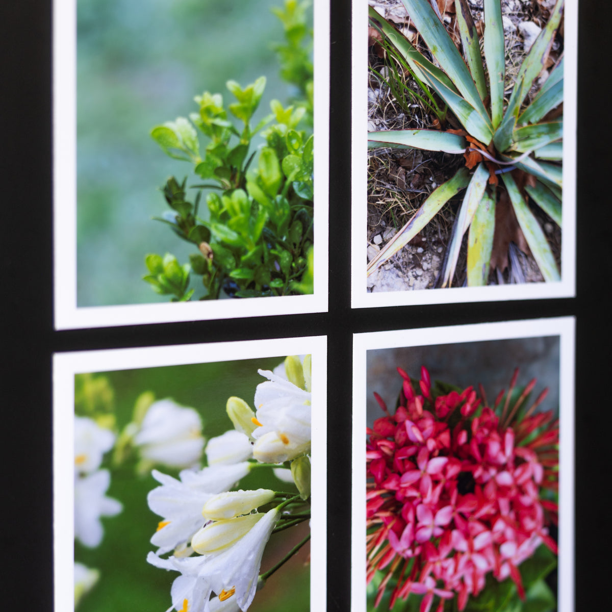 4" x 5" Custom Flexible Magnets (Set of 12)