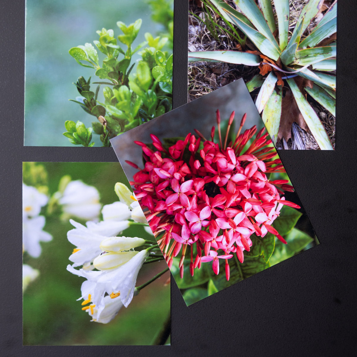 4" x 5" Custom Flexible Magnets (Set of 12)