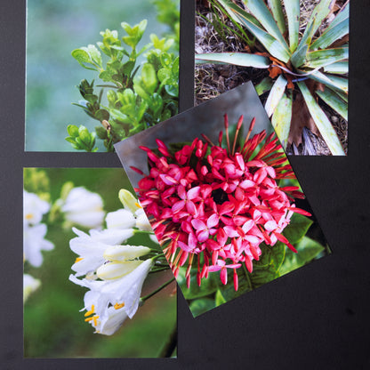 4" x 5" Custom Flexible Magnets (Set of 12)