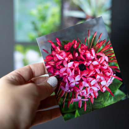 4" x 5" Custom Flexible Magnets (Set of 12)