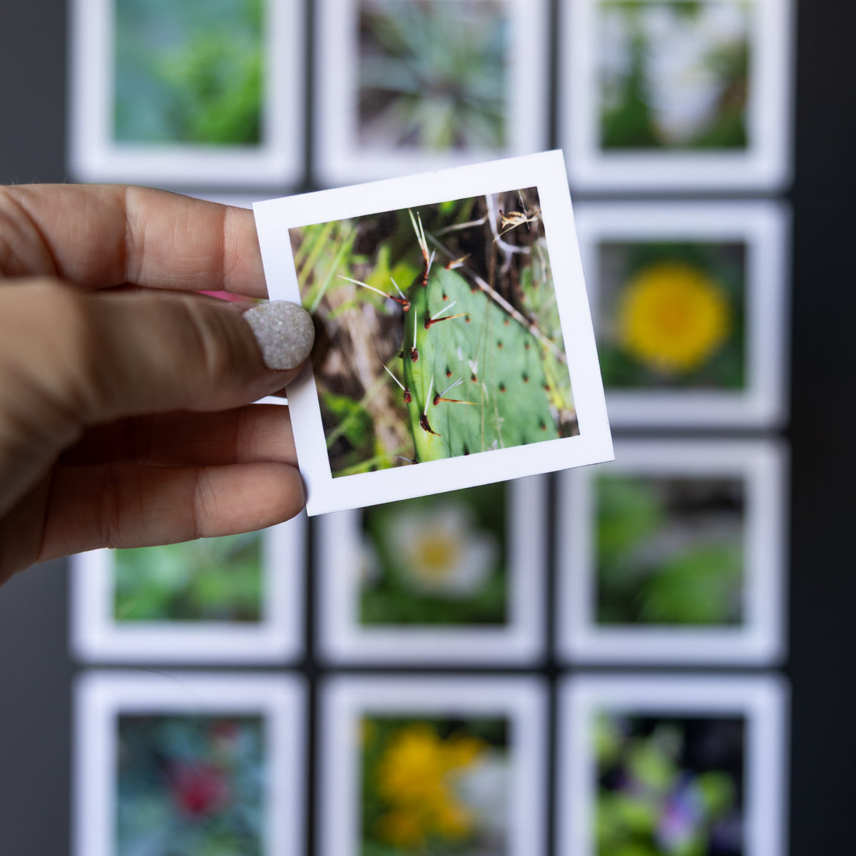 2.5" x 2.5" Custom Flexible Magnets (Set of 12)