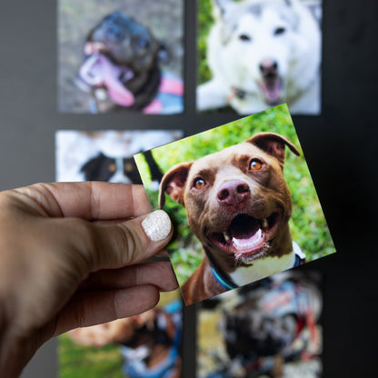 3.25" x 3.25" Custom Flexible Magnets (Set of 12)