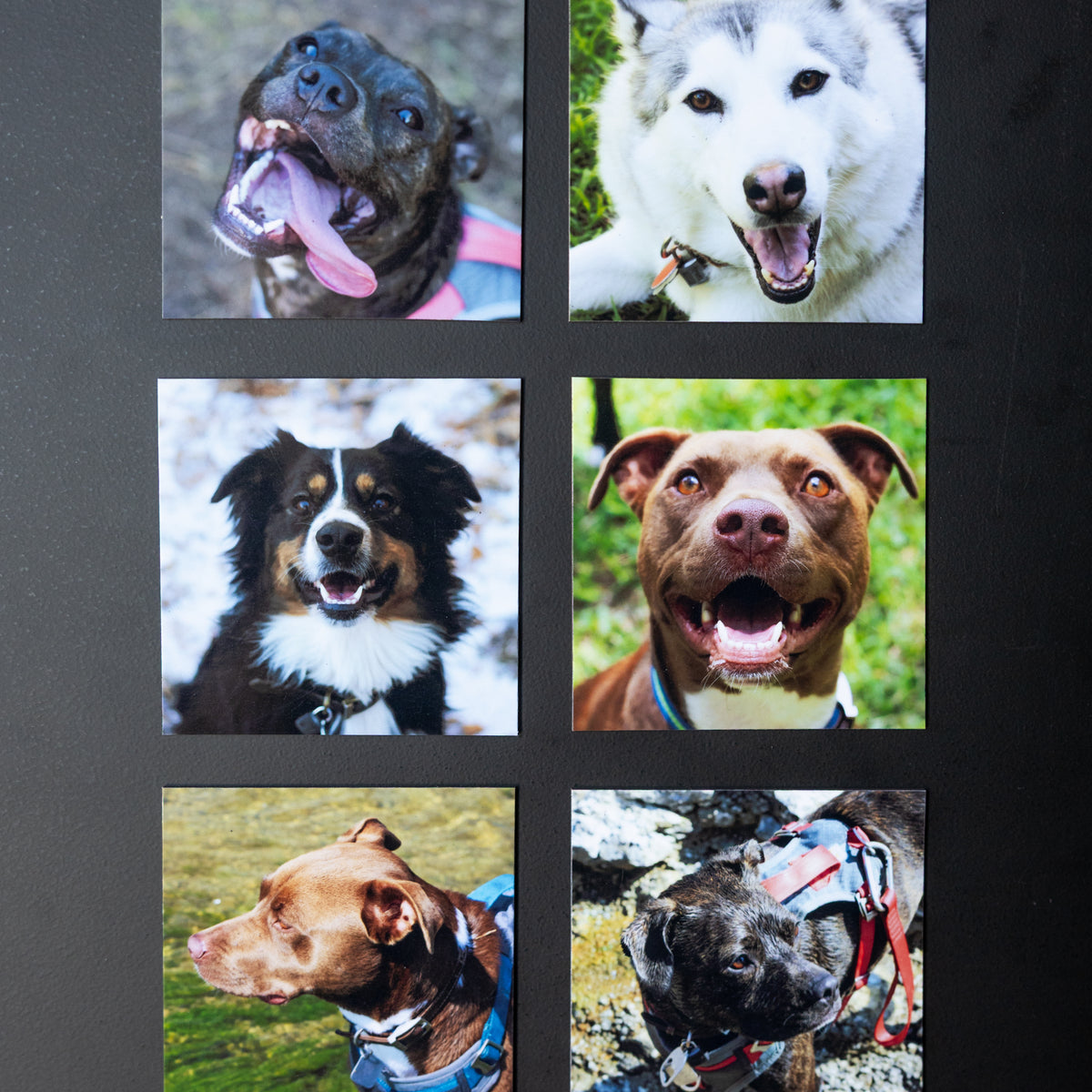 3.25" x 3.25" Custom Flexible Magnets (Set of 12)