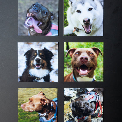 3.25" x 3.25" Custom Flexible Magnets (Set of 12)
