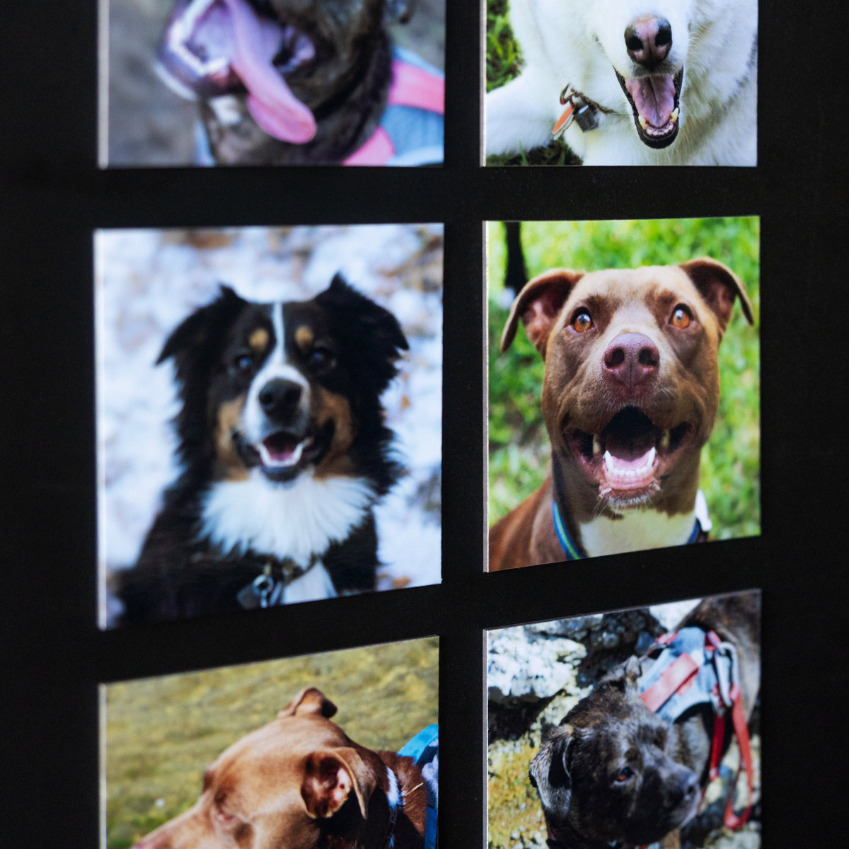 3.25" x 3.25" Custom Flexible Magnets (Set of 12)
