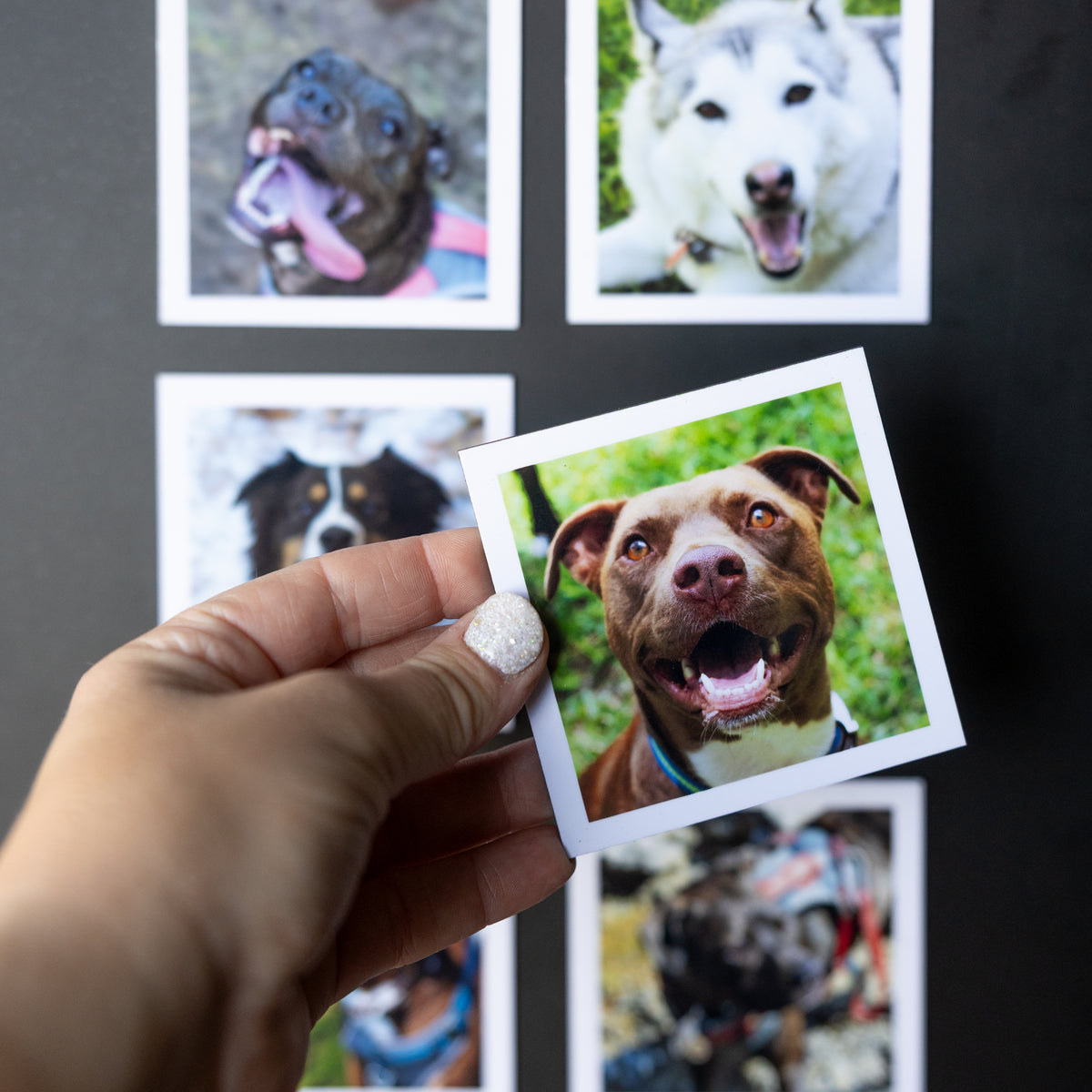 3.25" x 3.25" Custom Flexible Magnets (Set of 12)
