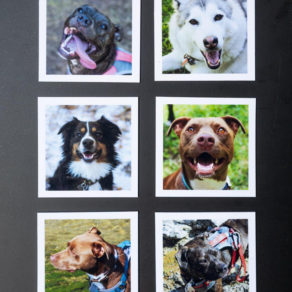 3.25" x 3.25" Custom Flexible Magnets (Set of 12)