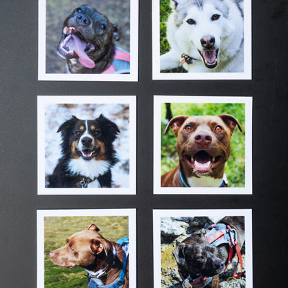 3.25" x 3.25" Custom Flexible Magnets (Set of 12)