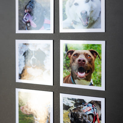 3.25" x 3.25" Custom Flexible Magnets (Set of 12)