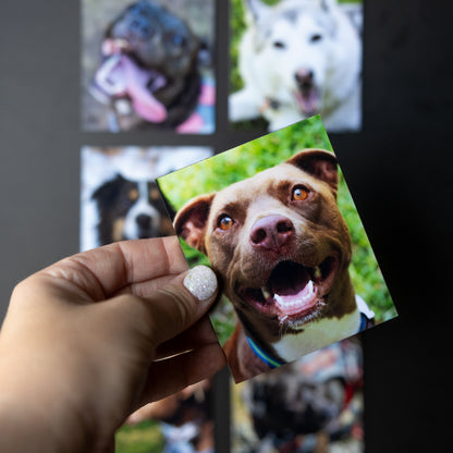 3.25" x 4" Custom Flexible Magnets (Set of 12)