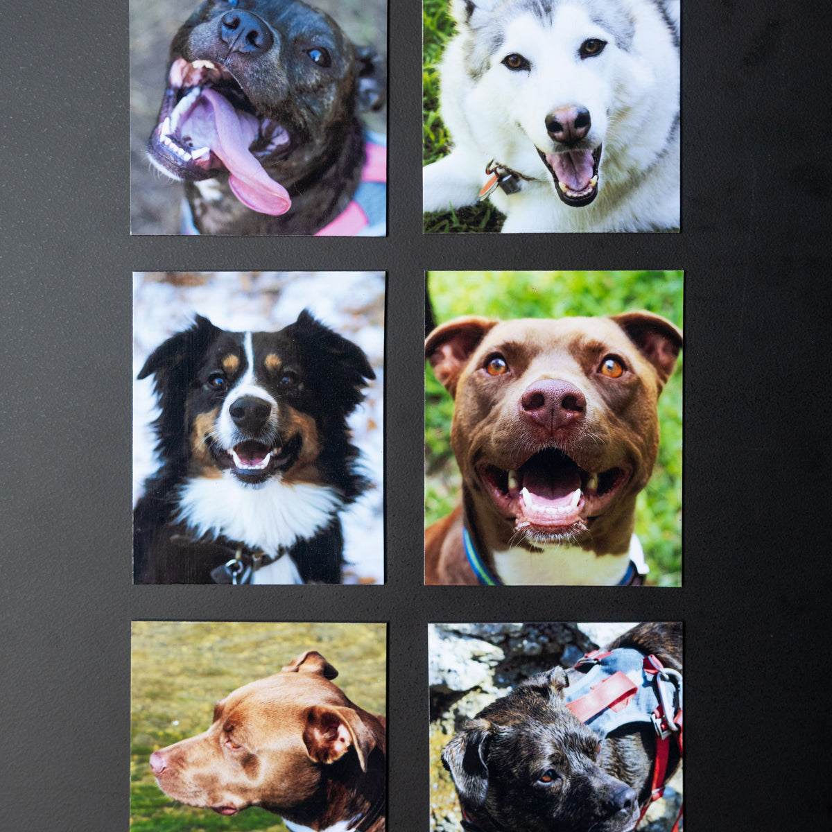 3.25" x 4" Custom Flexible Magnets (Set of 12)