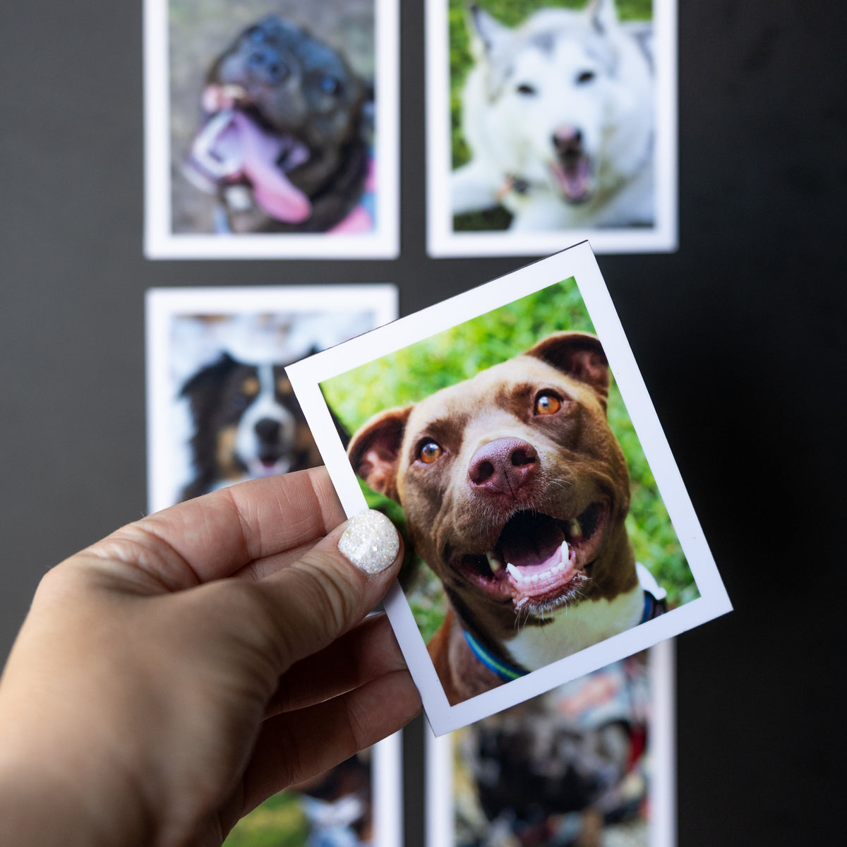 3.25" x 4" Custom Flexible Magnets (Set of 12)