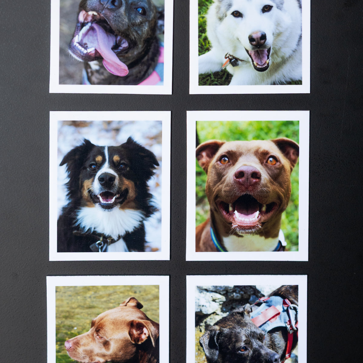 3.25" x 4" Custom Flexible Magnets (Set of 12)