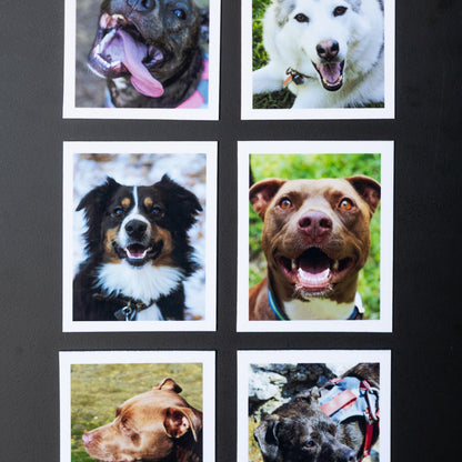 3.25" x 4" Custom Flexible Magnets (Set of 12)