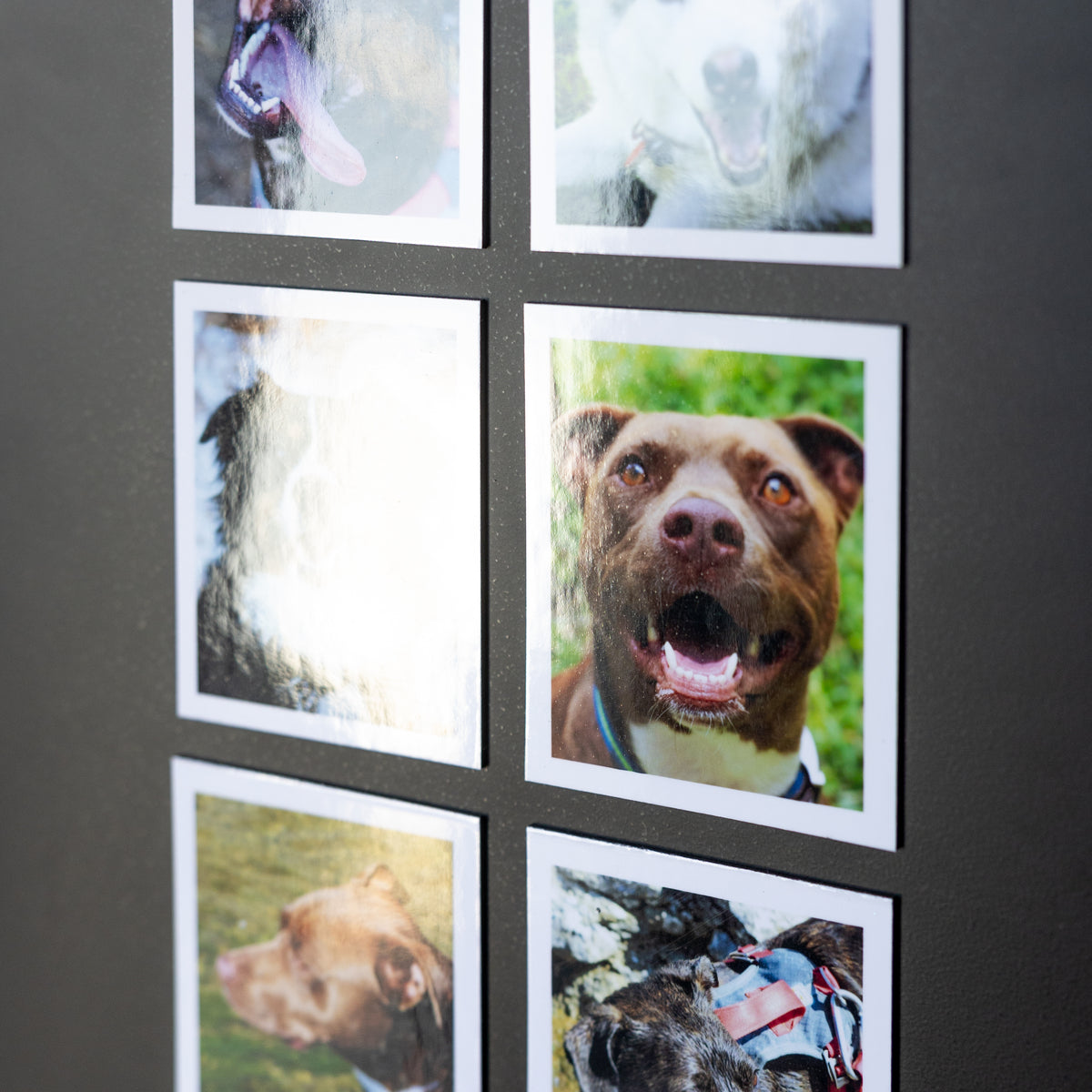 3.25" x 4" Custom Flexible Magnets (Set of 12)