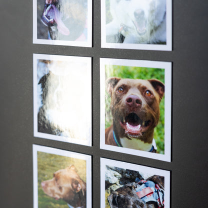 3.25" x 4" Custom Flexible Magnets (Set of 12)